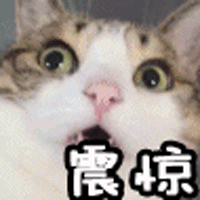 640.gif